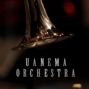 Uanema Orchestra - tromba - Ciro Riccardi